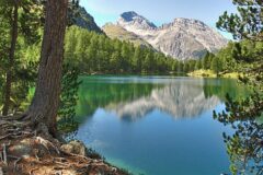 09-11 - lai da Palpuegna am Albula 